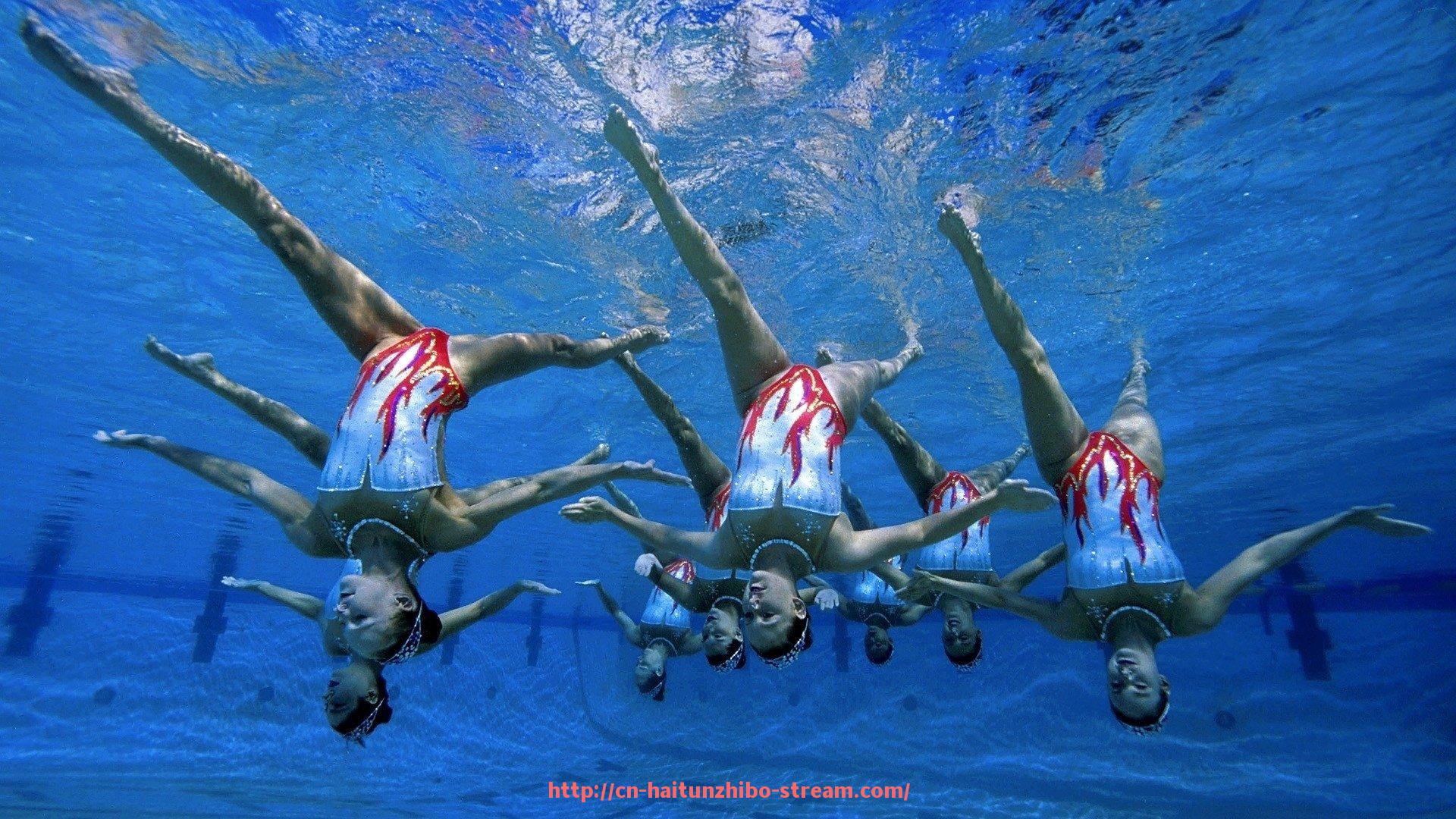 海豚直播-世俱杯球队战术执行评分标准构建与实施案例 海豚直播-世俱杯球队战术执行评分标准构建与实施案例