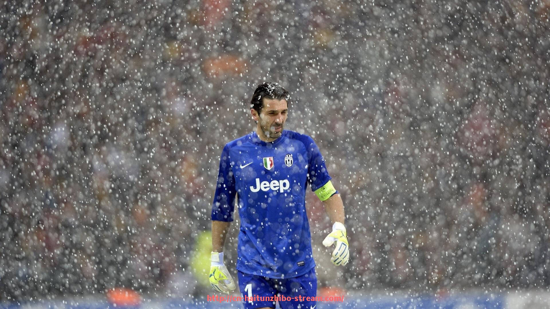 海豚直播-世俱杯赛事直播互动榜单算法逻辑与用户行为关系研究 海豚直播-世俱杯赛事直播互动榜单算法逻辑与用户行为关系研究